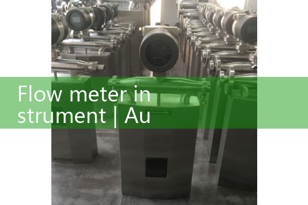 Flow meter instrument